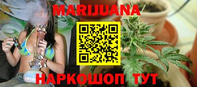 Альфа ПВП Можга
