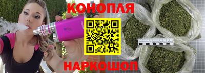 Альфа ПВП Можга
