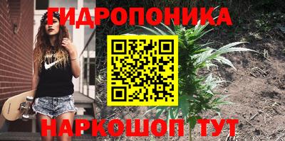 Альфа ПВП Можга