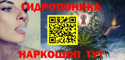 Альфа ПВП Можга