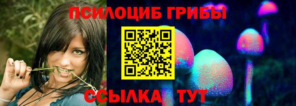 Галлюциногенные грибы Psilocybe Ульяновск